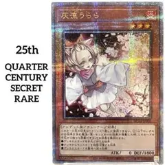 2025年最新】クォーターセンチュリー うららの人気アイテム
