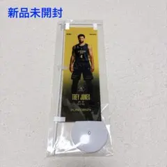 【新品未開封】群馬クレインサンダーズ トレイ・ジョーンズ ミニのぼり