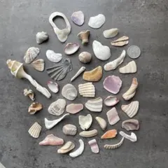 Item thumbnail for item 0279fe2d-8810-4765-afb3-609c7caed0f8