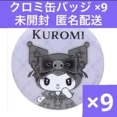 希少】クロミ20th 刺繍缶バッジ コンプリート 全10種セット. 20周年
