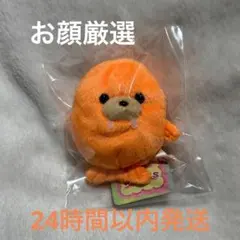 イチナナベイビー ワンセブンライブ ぬいぐるみ - メルカリ