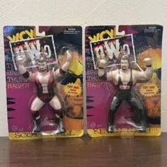 ザ・パトリオット WSW デル・ウィルクス WWE ハズブロ風 - メルカリ