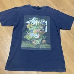 Stussy ステューシー Tシャツ Mサイズ