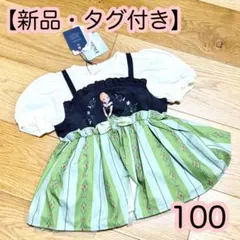 【新品】 アナと雪の女王 チュニック バースデイ　コトリ