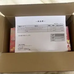 【新品未開封】【シュリンク付】ポケモンセンターヒロシマ スペシャルボックス