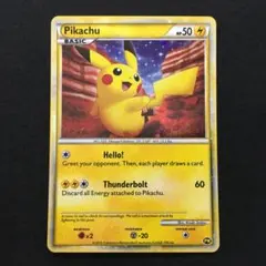 J*ん様 4001168 ピカチュウ WC アメリカ