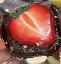 スクイーズ 海外スクイーズ いちごチョコアイス