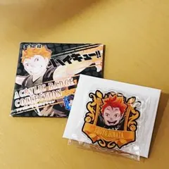日向翔陽 ハイキュー アクリルバッジコレクション