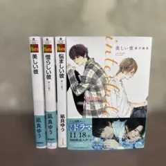 美しい彼123 interlude番外編 4冊セット