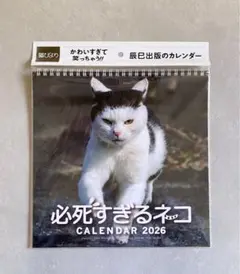 必死すぎるネコ カレンダーのサムネイル