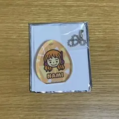 ワンピース EGGHEAD アイコン アクリルブロックキーホルダー ナミ