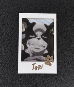 ジョジョの奇妙な冒険 スターダストクルセイダース キャラポトレ イギー ②