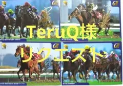 TeruQ様 リクエスト 8点 まとめ商品