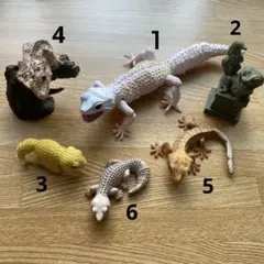 いきもの大図鑑　アドバンス　レオパードゲッコー　その他セット
