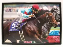 競馬 インディチャンプ パネル 競馬ブック 安田記念 A4版
