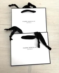 PIERRE MARCOLINI ショップ袋 2枚セット