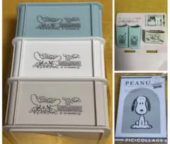 シナモン　けろけろけろっぴ　スヌーピー 整理整頓　収納　グッズ　まとめ売り