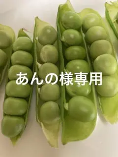 あんの様専用うすいえんどうとそら豆