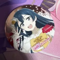 ラブライブ 虹ヶ咲学園 ラブカ感謝祭 缶バッジ 優木せつ菜 2点セット