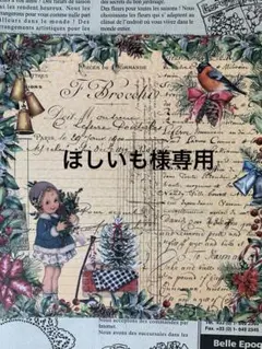 ドライフラワー 花材 詰め合わせ