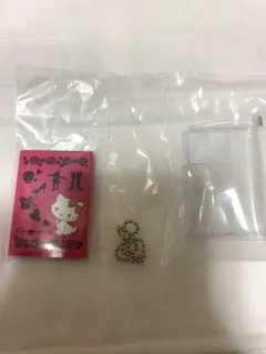 (未使用)サンリオキャラクターズプロフィール帳　チャーミーキティ