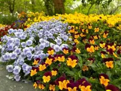 RAKUDO様専用ページ