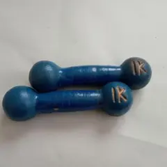 【美品】鉄アレイ 1kg × 2個セット 筋トレ・自宅トレーニングのサムネイル