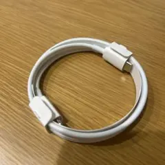 Apple 純正品USB-C-Lightningケーブル