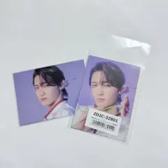 文藝解体新書 店舗特典 トレカ 桜木雅哉