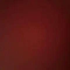 ちゃちゃさま専用