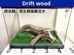 Item thumbnail for item f9889817-0a34-40b6-94bf-1990832895b7