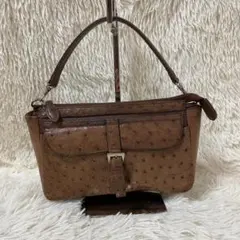 レディース　ハンドバッグ　ワンハンドル　オーストリッチ型押し　コンパクト　茶