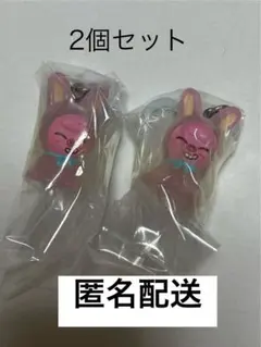 SKZOO めじるしアクセサリー　トェッキ2個セット