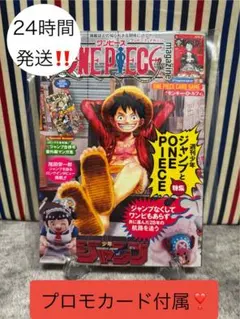 R*u様 ワンピースマガジン ONE PIECE magazine 20号 プロ