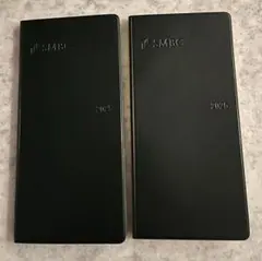 Item thumbnail for item 8ada7d76-9651-44cf-849e-221bf0eb0c6d