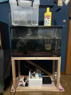 2026年最新】オーバーフロー水槽 60の人気アイテム - メルカリ