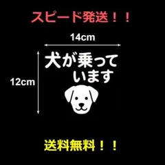 【スピード発送】【匿名配送】Dog in car 　カッティングステッカー　３２