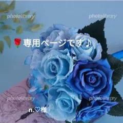n.♡様専用ページです♪