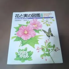 Item thumbnail for item 83628eb9-8965-4ad9-a4df-511558362679