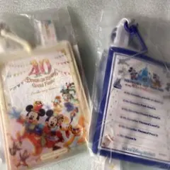 新品　未開封　ディズニー　パスケース　グランドフィナーレ　メモリーゴーラウンド