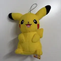 2026年最新】ピカチュウマニアぬいぐるみの人気アイテム - メルカリ