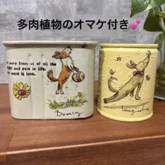 リメ缶196 リメイク缶 多肉植物 デコパージュ リメ鉢 リメイク鉢