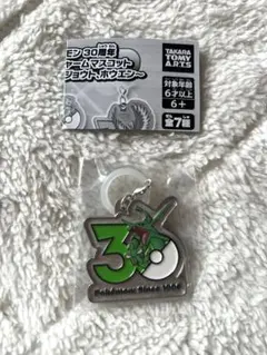 ポケモン 30周年 メタルチャームマスコット ガチャガチャ レックウザ 即日発送