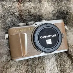 未使用に近い Olympus PEN E-PL9 Wi-Fi搭載 #8812 OLYMPUS - 未使用に近い Olympus PEN E-PL9 Wi-Fi搭載 #8812の