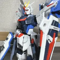 RG 1/144 ZGMF-X10A フリーダムガンダム　完成品