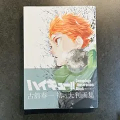ハイキュー!! Complete Illustration Book