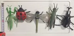 昆虫フィギュアセット 5体　リアルおもちゃ