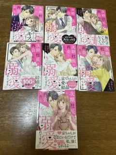 次期社長に再会したら溺愛されてます 全7巻セット