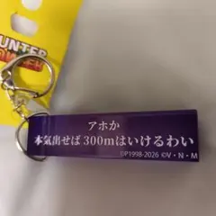HUNTER×HUNTER 台詞キーホルダー Avail ゼノ ゾルディック