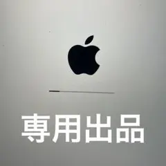 iPad 本体 専用出品
